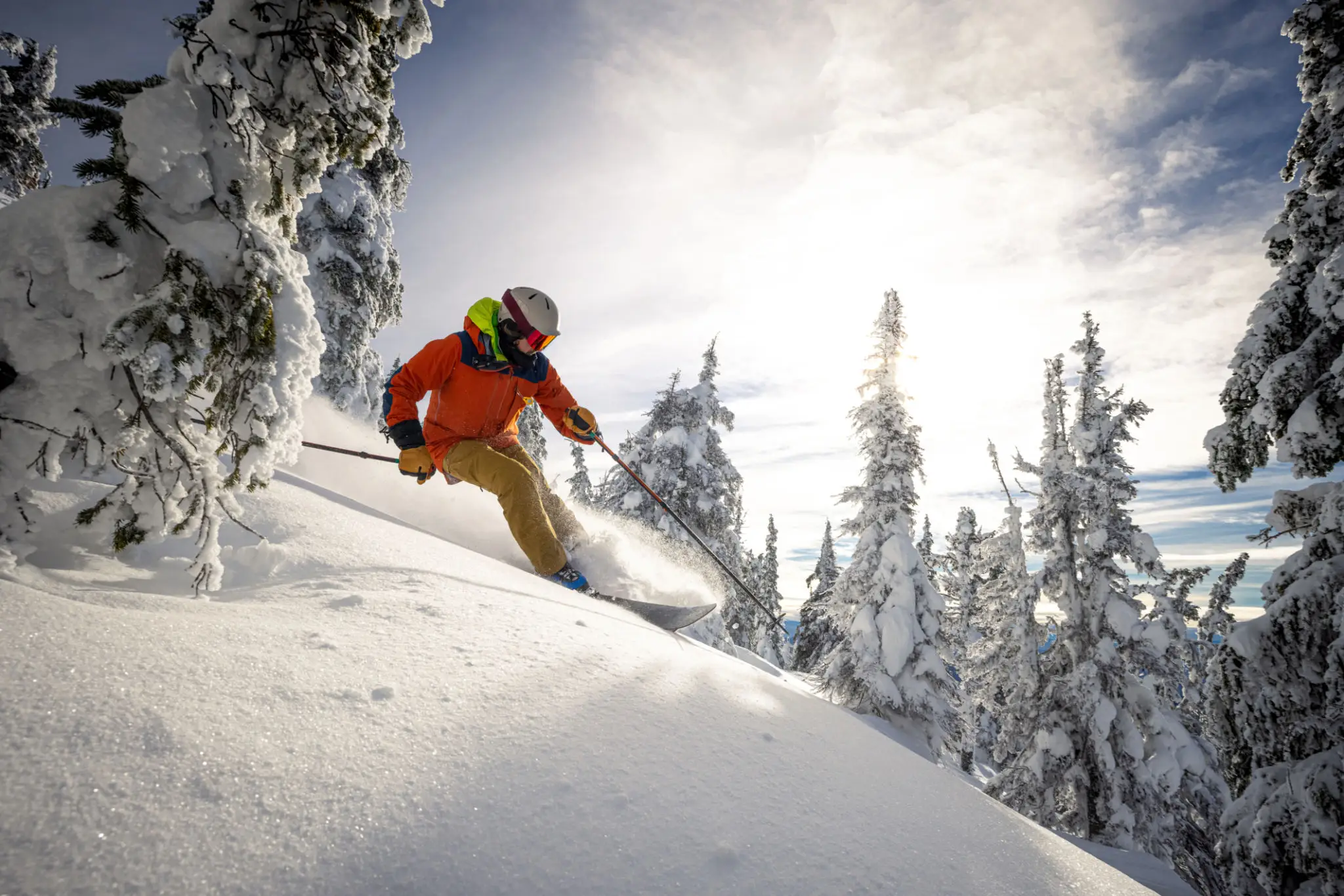 Skier in orange jacket skiing through snowy trees