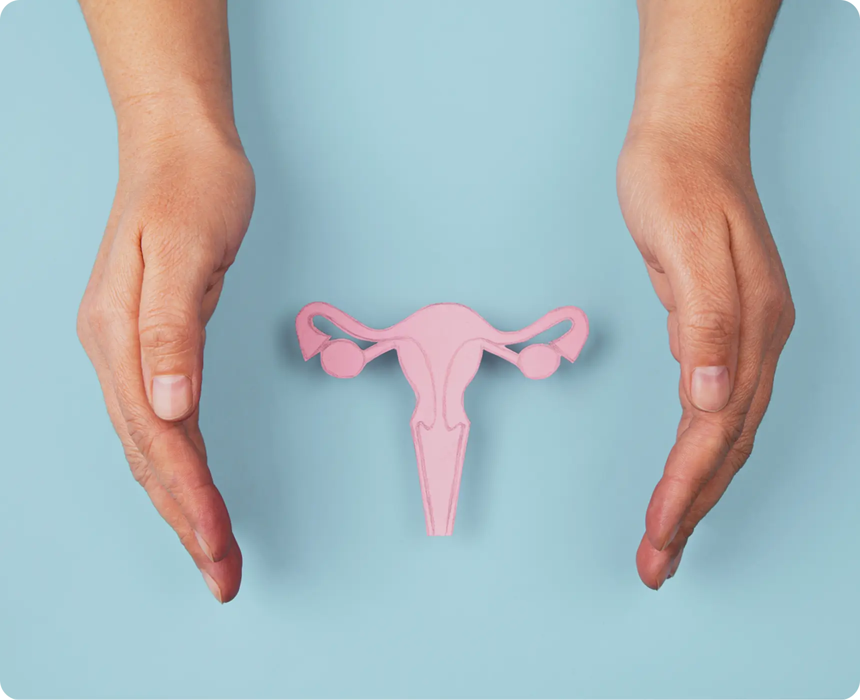 Hands framing pink uterus model on blue.